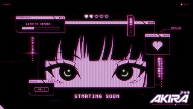 Akira playing Just Chatting - Live Casino Stream