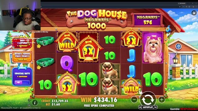 Awake playing Slots - Live Casino Stream