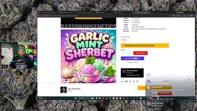 Bassdropkeys playing Just Chatting - Live Casino Stream