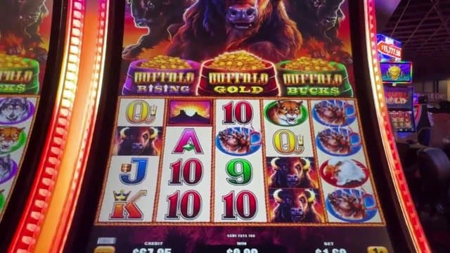 forucajo playing Slots - Live Casino Stream