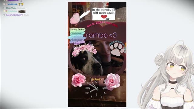 miia playing Just Chatting - Live Casino Stream