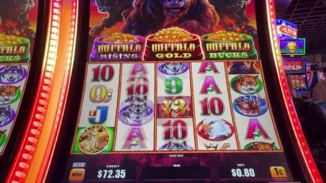 tydokam playing Slots - Live Casino Stream
