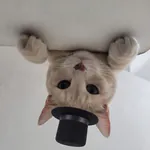 razznut
