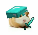 ch0ntoya