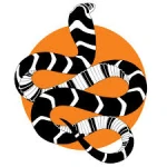 jakethesnake445