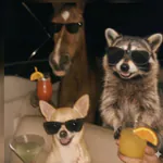 los-parrilleros