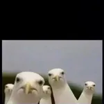 ovrnghtshft