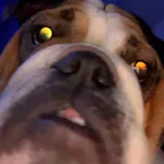 sidneycrtz