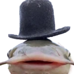 mrbruh