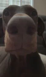 degeneratecb