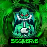 bigglobrob024