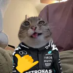 razzeassult