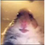 sizofre-n