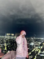 yslferr