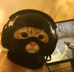 questr4