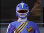 sharckdean14