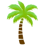 calidreamz