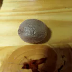 cocohya