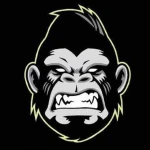 kongsw