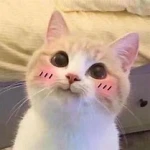 fluffybutt