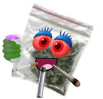 s00yaa