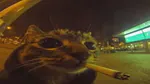 joxuhrs