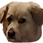Loganbro