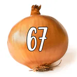 cebolleta67