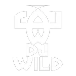 djwild Offline Background