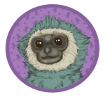 grammthegibbon