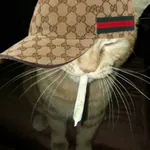 ogkolbi