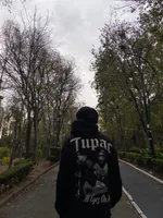 diegoaveiro