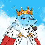 kapp0x