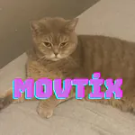 movtix