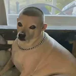 reversebet