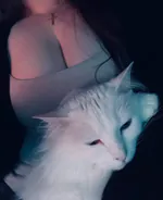 losttoalady