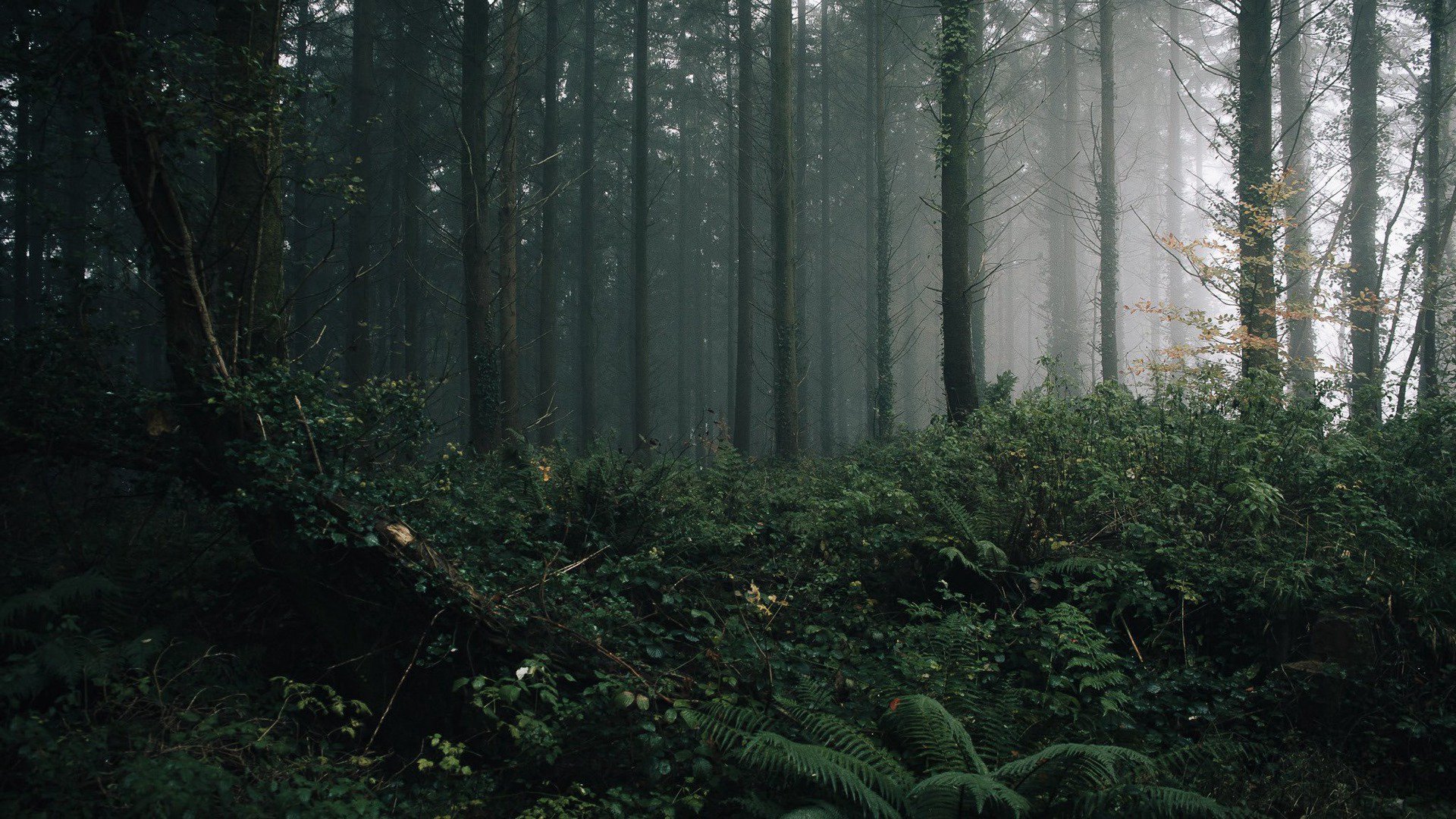 deff10th Offline Background