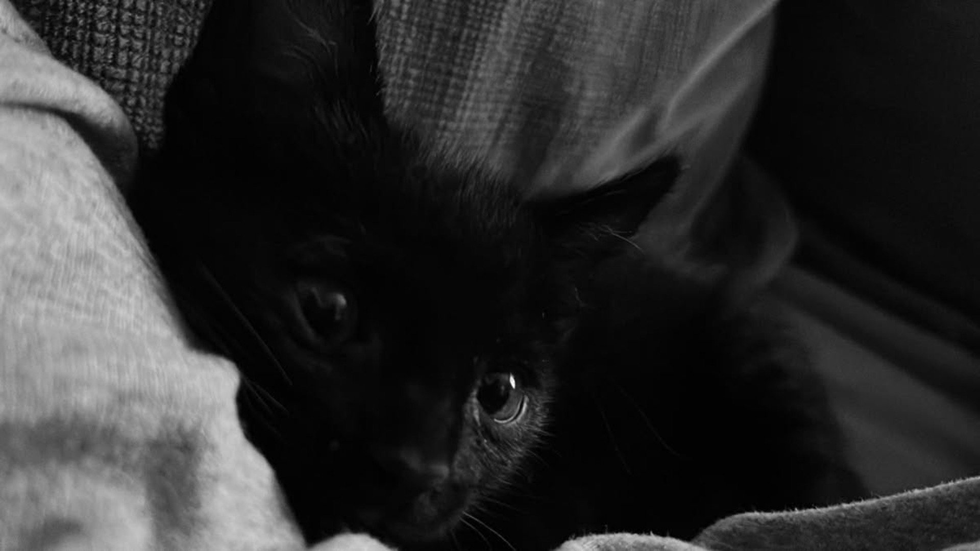 ilyamina Offline Background