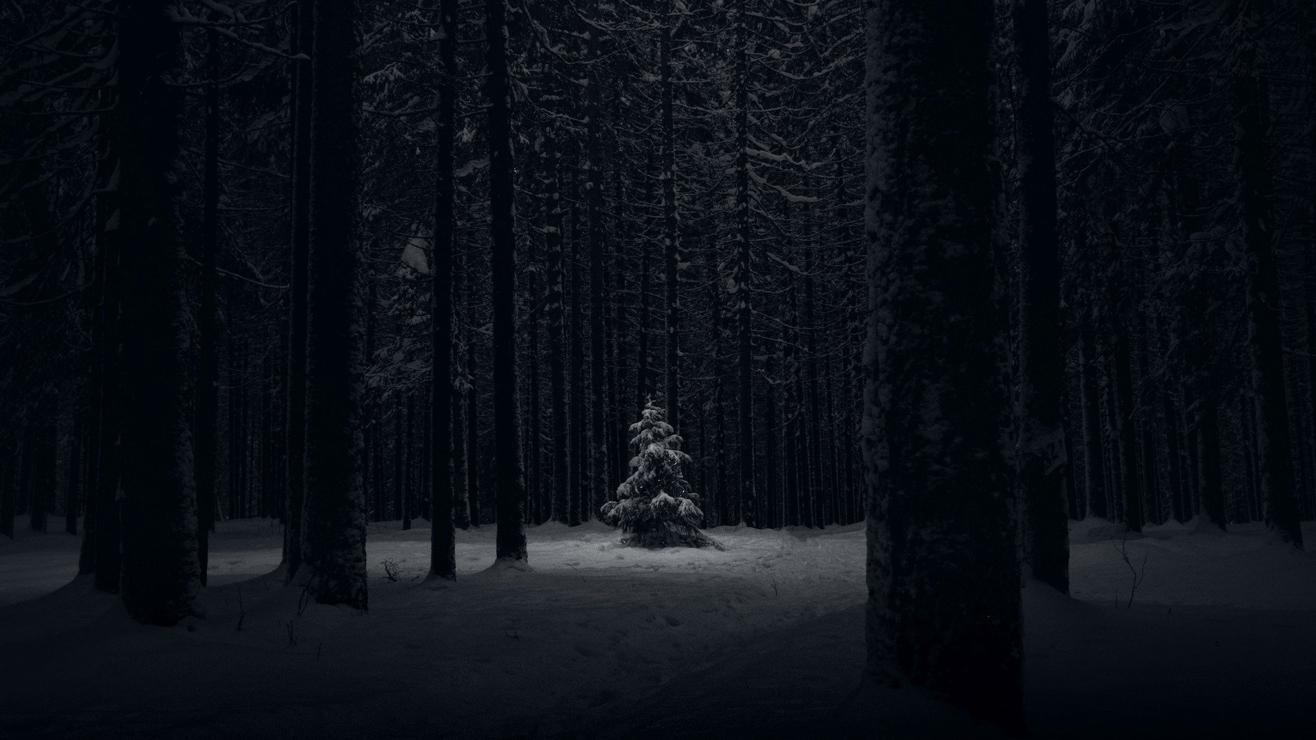 hlupik__ Offline Background