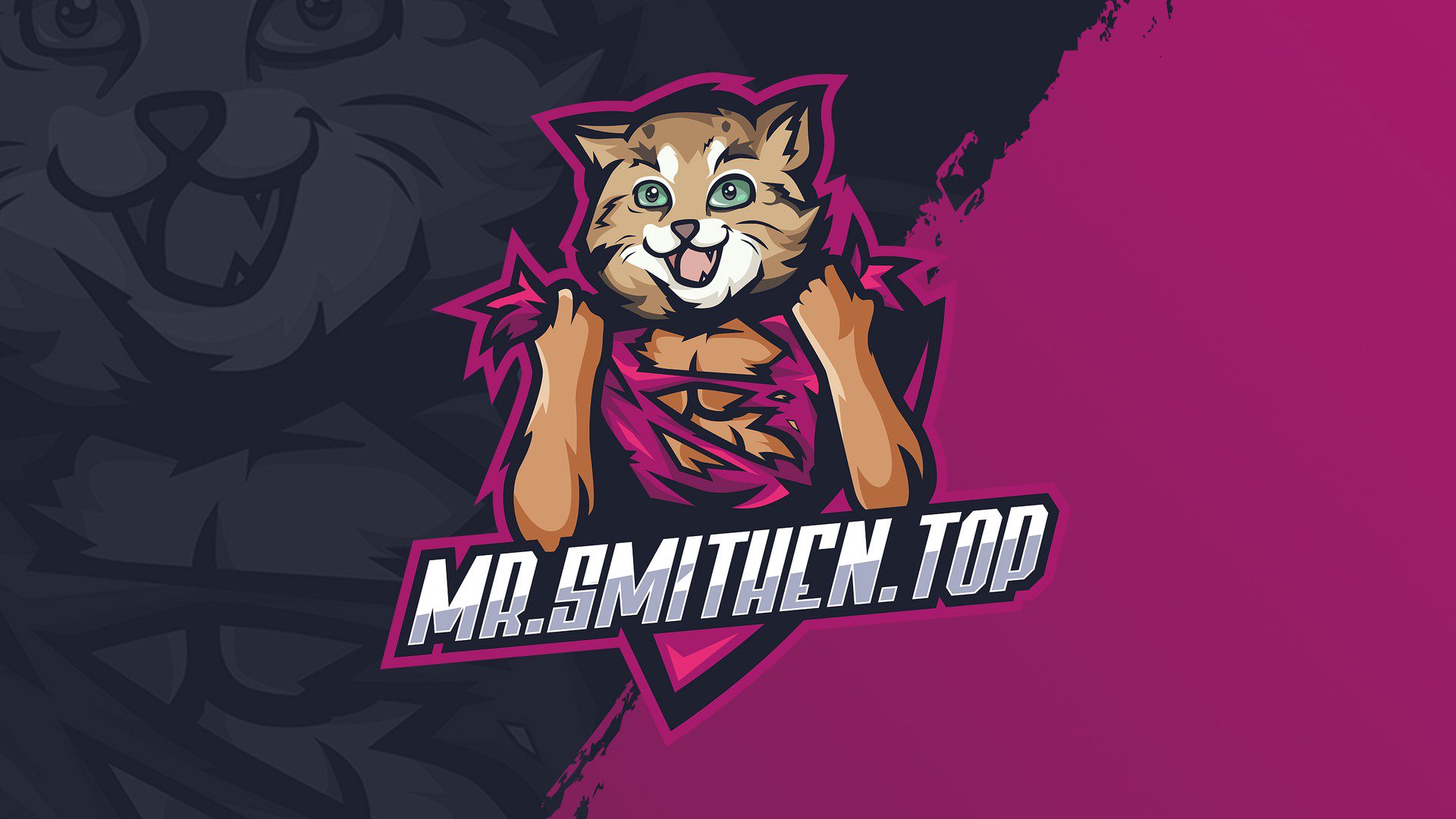 MRSMITHENTOP Offline Background