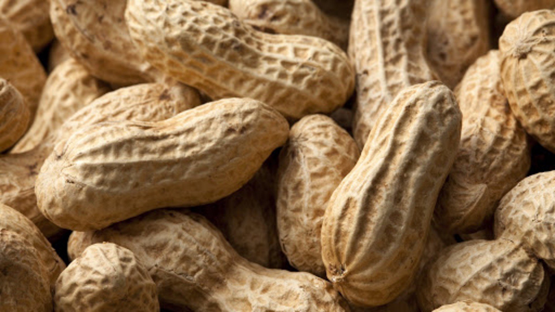 PeanutLM Offline Background