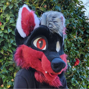 kai_bloodwolf