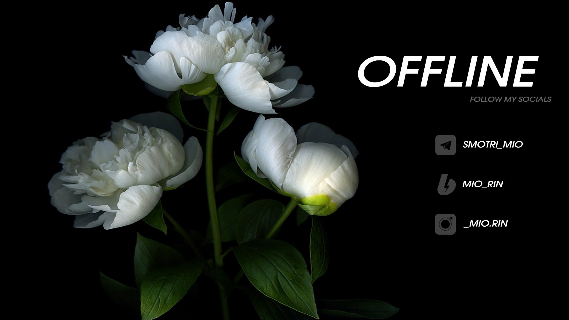 Mio_Rin Offline Background