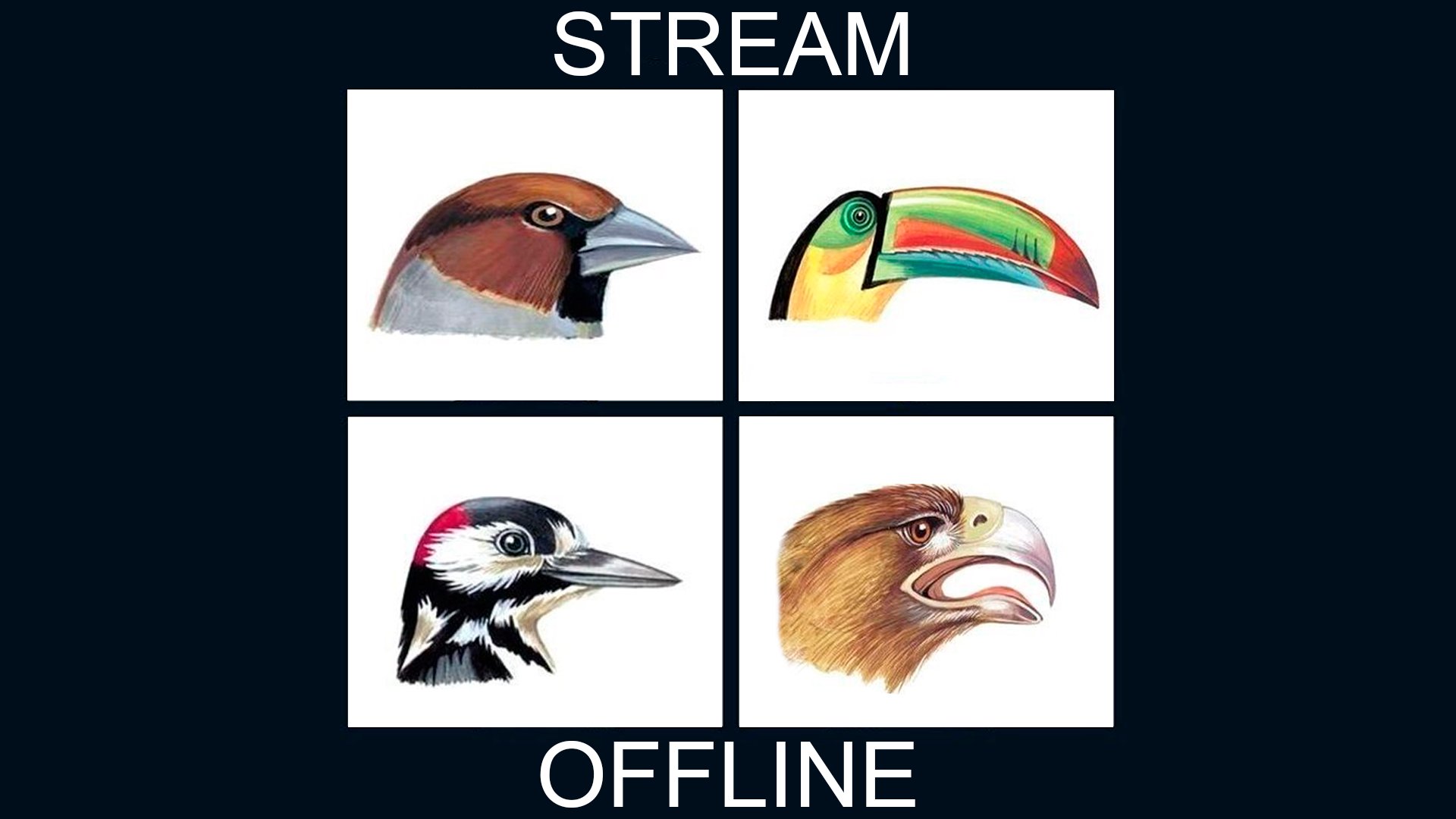 kluuuv Offline Background