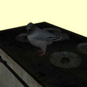 Doven_on_the_oven