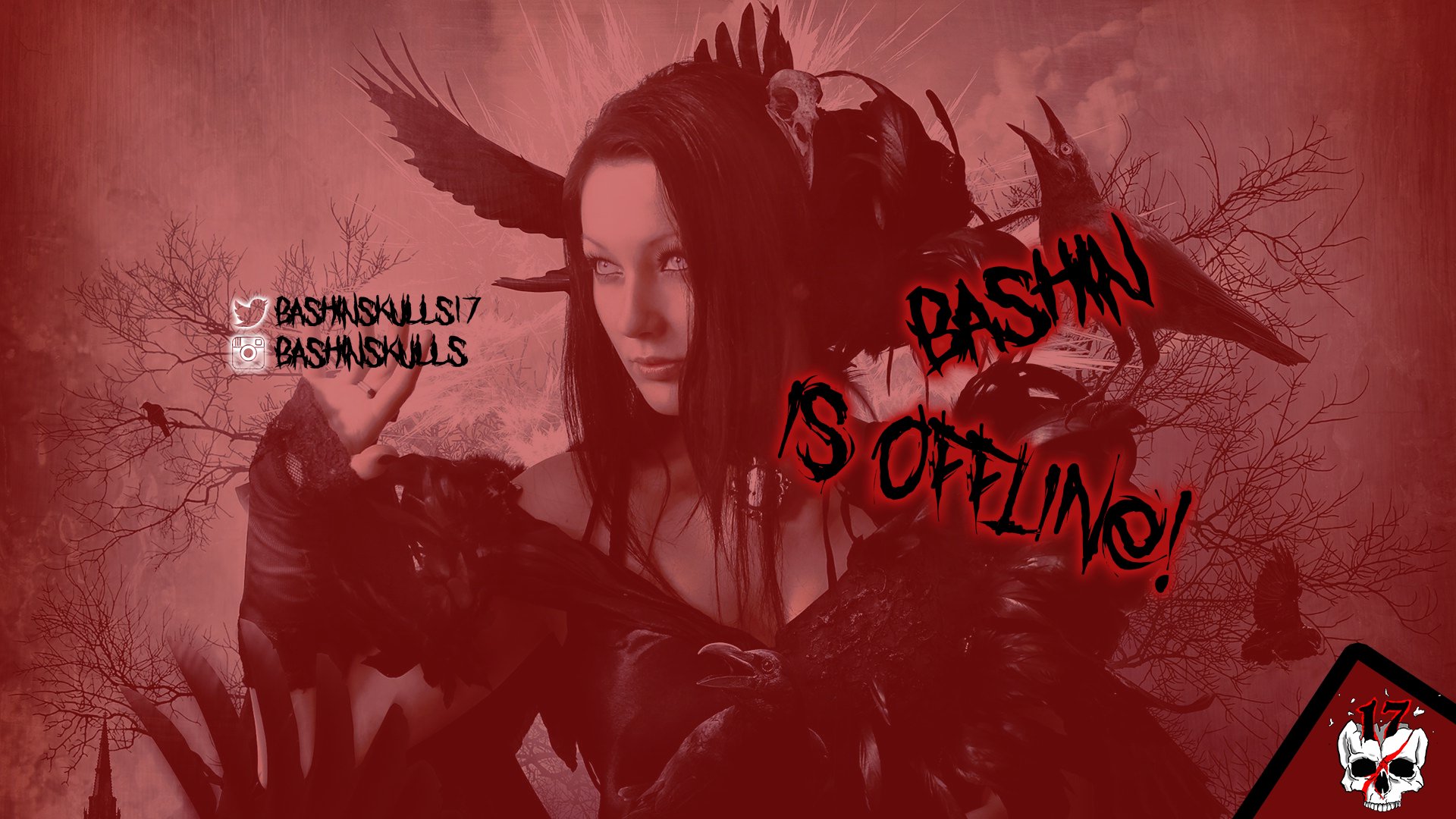 Bashinskulls Offline Background