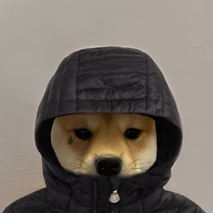 blitzwank_