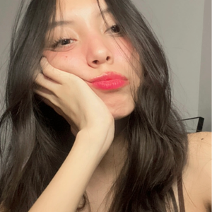 fer_chisss