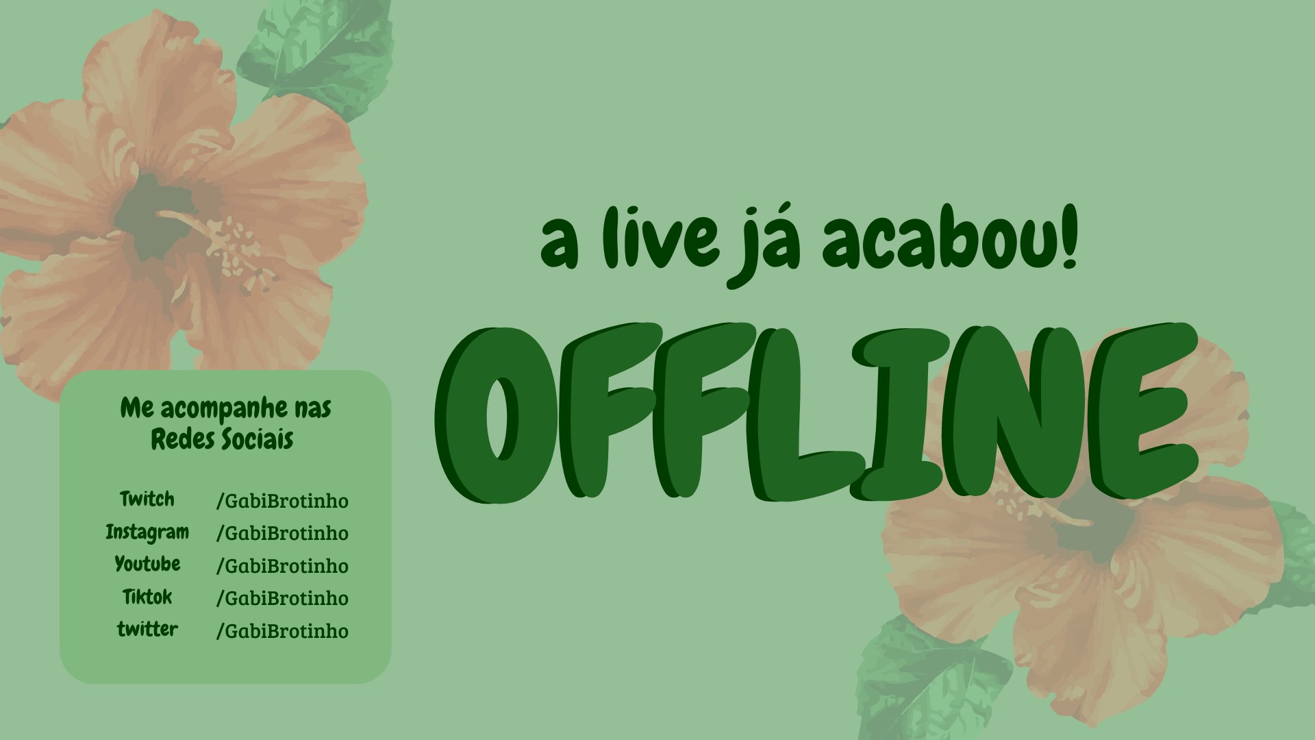 GabiBrotinho Offline Background