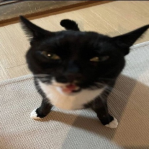 SendBrooksHelp